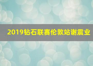 2019钻石联赛伦敦站谢震业