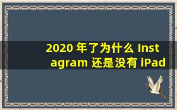 2020 年了,为什么 Instagram 还是没有 iPad 版 