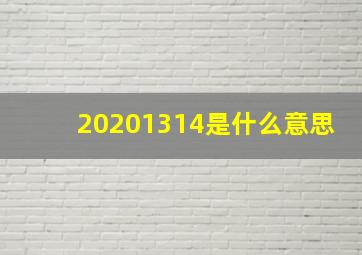 20201314是什么意思(