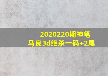 2020220期神笔马良3d绝杀一码+2尾