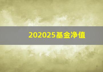 202025基金净值