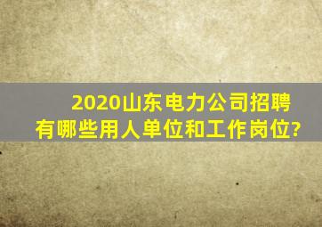 2020山东电力公司招聘有哪些用人单位和工作岗位?