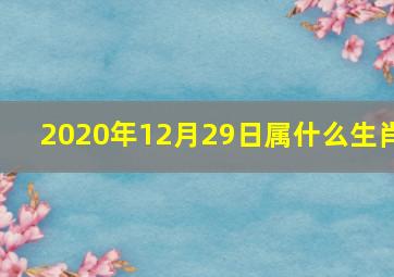 2020年12月29日属什么生肖(