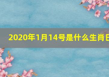 2020年1月14号是什么生肖日(