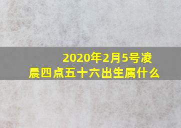 2020年2月5号凌晨四点五十六出生属什么(