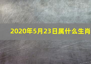 2020年5月23日属什么生肖(