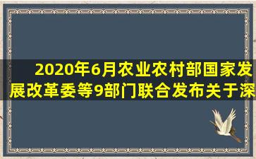 2020年6月,农业农村部、国家发展改革委等9部门联合发布《关于深入...