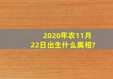 2020年农11月22日出生什么属相?