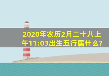 2020年农历2月二十八,上午11:03出生五行属什么?