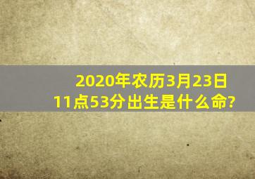 2020年农历3月23日11点53分出生是什么命?