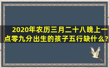 2020年农历三月二十八晚上一点零九分出生的孩子五行缺什么?