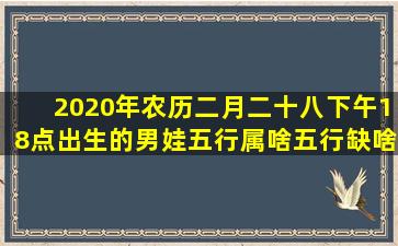 2020年农历二月二十八下午18点出生的男娃五行属啥,五行缺啥??