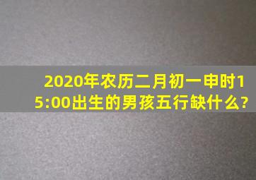 2020年农历二月初一申时(15:00)出生的男孩五行缺什么?