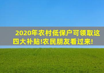 2020年农村低保户可领取这四大补贴!农民朋友看过来! 