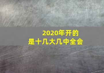 2020年开的是十几大几中全会