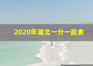 2020年湖北一分一段表