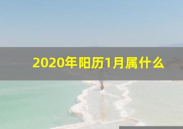 2020年阳历1月属什么