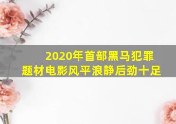 2020年首部黑马犯罪题材电影《风平浪静》,后劲十足