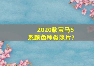 2020款宝马5系颜色种类照片?