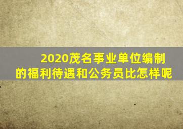 2020茂名事业单位编制的福利待遇和公务员比怎样呢(