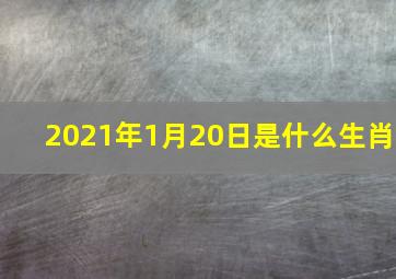 2021年1月20日是什么生肖