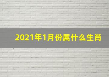 2021年1月份属什么生肖