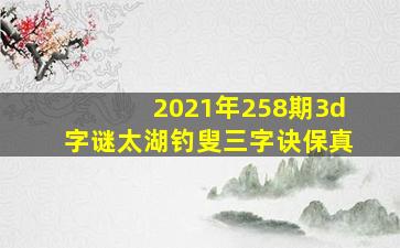 2021年258期3d字谜太湖钓叟三字诀《保真》