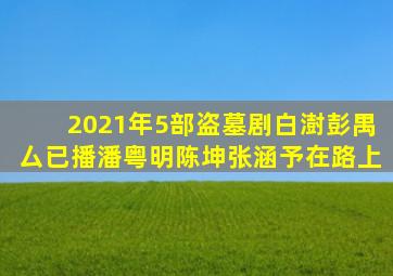 2021年5部盗墓剧,白澍彭禺厶已播,潘粤明陈坤张涵予在路上