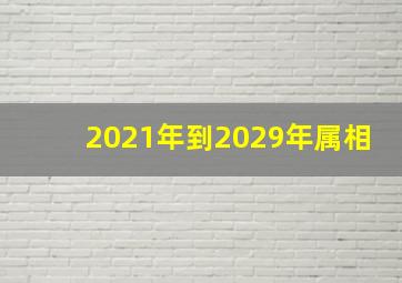 2021年到2029年属相