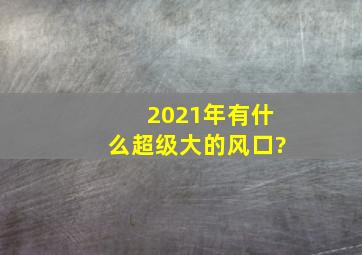 2021年有什么超级大的风口?