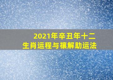 2021年辛丑年十二生肖运程与禳解助运法