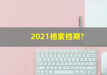 2021杨紫档期?