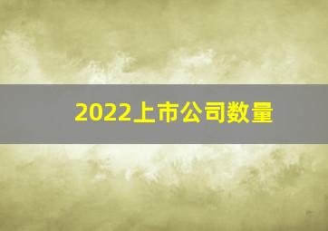 2022上市公司数量