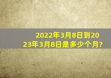 2022年3月8日到2023年3月8日是多少个月?