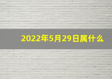 2022年5月29日属什么