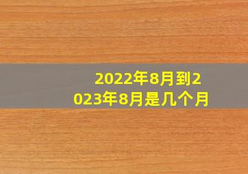 2022年8月到2023年8月是几个月