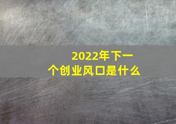 2022年下一个创业风口是什么(