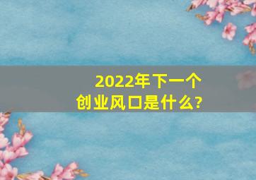 2022年下一个创业风口是什么?