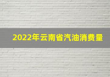 2022年云南省汽油消费量