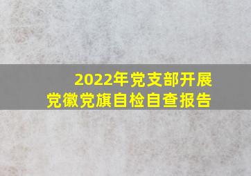 2022年党支部开展党徽党旗自检自查报告 