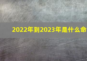 2022年到2023年是什么命(