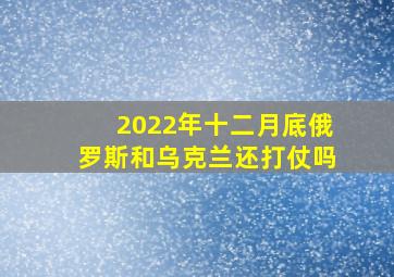 2022年十二月底俄罗斯和乌克兰还打仗吗