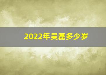 2022年吴磊多少岁