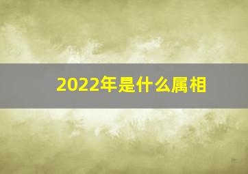 2022年是什么属相