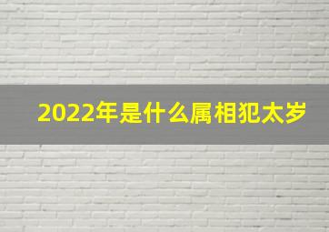 2022年是什么属相犯太岁