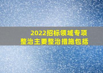 2022招标领域专项整治主要整治措施包括