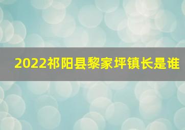 2022祁阳县黎家坪镇长是谁