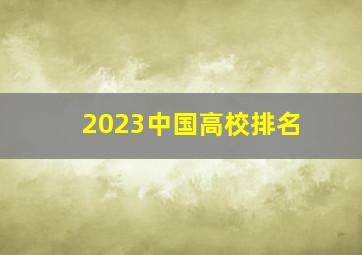 2023中国高校排名