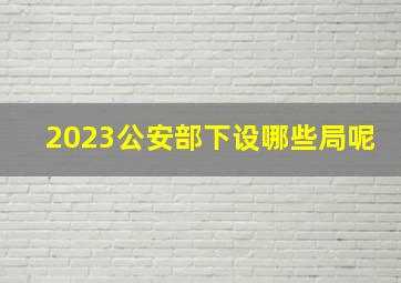 2023公安部下设哪些局呢