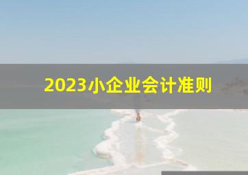 2023小企业会计准则 